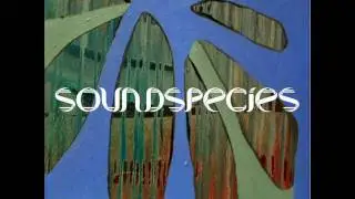 SOUNDSPECIES CDR People With Foreign Beggars(burntprogress)