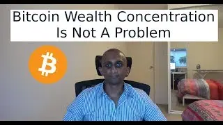 Bitcoin Wealth Concentration Is Not a Problem