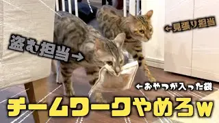 おまえらこういう時だけタッグ組んで泥棒すなｗｗｗ