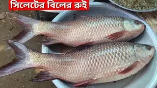 লন্ডনি আর সৌদি প্রবাসিদের প্রিয় পাঠানটুলা মাছ বাজার, সিলেট