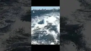 Boat Wake on Sydney Harbour | Relaxing Water Views 🚤🌊✨