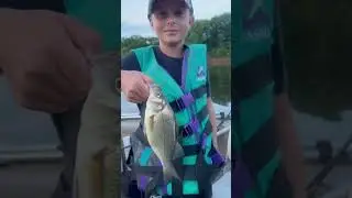 EVENING TROLLING on the RIVER for BIG White Perch!!! #fishing #familyfishing #perch #perchfishing