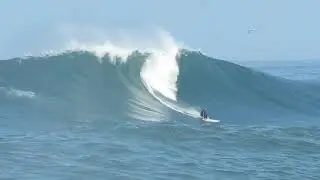 El Buey 14.09.2018 Arica