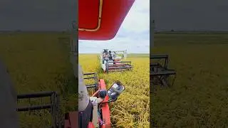 #gam #harvester #fieldking