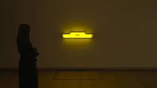 Tour: Dan Flavin&rsquo;s 