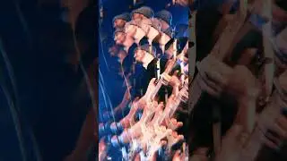 Tripsitta Live Visualizer