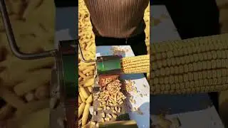 Rural Farmer #8528