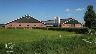 Thomas Foods International USA's VanDrie Veal