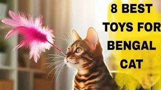 Bengal Cat Toys: 8 Must-Have Playthings for Your Curious Kitty! 🧶 #BengalCat #CatToys