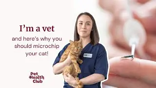 7 reasons cat microchipping is essential for your cat&rsquo;s safety | Vet guide