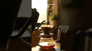 Must-have coffee tools for 2026