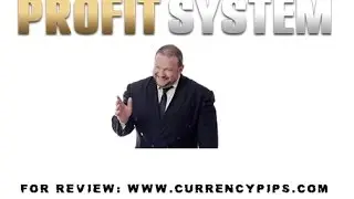 Toshko Raychev Profit System Review