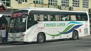 Crised 7287 Is Coming 