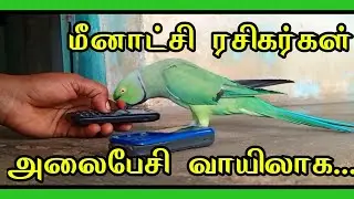 மீனாட்சி ரசிகர்கள் போன் செய்து பேச்சைக் கேட்கிறார்கள். மகிழ்ச்சியாக உள்ளது.