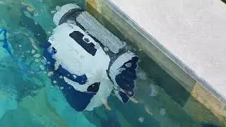 DOLPHIN robot BLUE MAXI 30 test piscine swimming pool