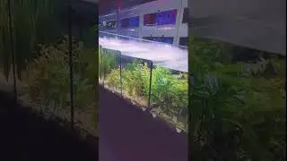 Smart Mist Maker for Aquarium Terrarium
