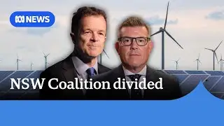 NSW Nationals reject net zero 'in principle', at odds with state Liberals | ABC NEWS