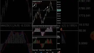 deriv trading indice