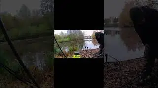 #carpfishing #carpfishig #carp #carpfishinguk