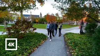 4K | Harvard Fall Colors | City Urban Sounds ASMR Binaural