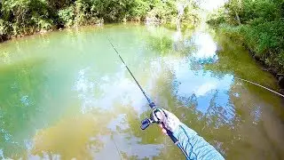 Clear Creek Fishing the Elusive GUADALUPE BASS