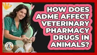 How Does ADME Affect Veterinary Pharmacy Drugs In Animals? - Animal Care Jobs