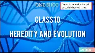 HEREDITY AND EVOLUTION - CLASS 10 - SCIENCE - ONE SHOT -ANIMATED EXPLANATION