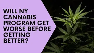 Why New York's Marijuana Licensing Process Faces Ongoing Legal Battles