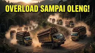 12 Dump Truck Roda Tank Bawa Kayu Gelondongan Overload di Hutan Kalimantan! Realistis & Ekstrem!