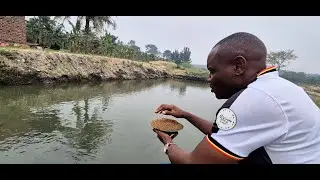 TANDIKA OLUGENDO LWO LEERO!