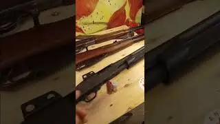 8 Gauge Shotgun Shell