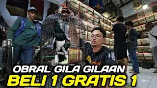 UNBOXING KAPAS TEMBAK & KACER HARGA 50 RIBU HARI INI DIKIOS ALHAMDULILLAH PASAR BURUNG PRAMUKA
