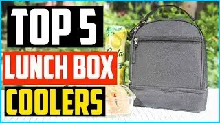 Top 5 Best Lunch Box Coolers In 2025 &mdash; Reviews