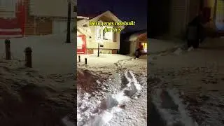 Desi Genes Not Built for This ❄️ | Indian in Snow 🇨🇦