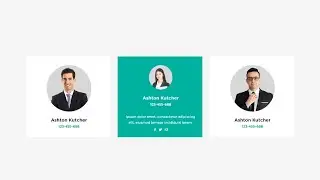 Profile Card With Cool Hover Effect | CSS Profile Card | CSS Tutorial