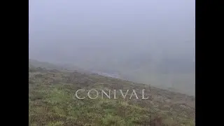 Yunger - Conival (Lyric Video)