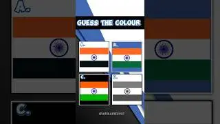 Guess The India vs Pakistan flag colour| #india #pakistan #japan #country #shorts