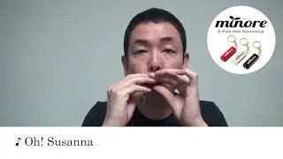 Suzuki 5-hole Mini Harmonica 