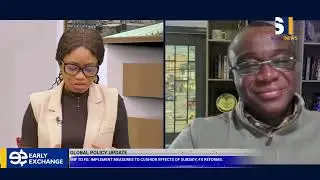IMF's Call to Nigeria: Cushion Subsidy Effects & Manage External Debt | Early Exchange