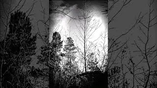 Dead Trees - Being Around (1995)