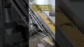 The machine turn soybeans into soy milk in seconds #foodmachine #grinding #grinder  #tofu #hongjin