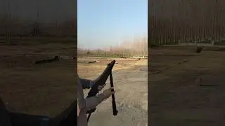 Airgun Bird Hunting Clean Field Action | Realistic Airgun Bird Hunting Experience