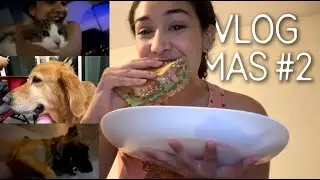 Mandados y muuuuchos animales (Vlogmas #2) | diciembre 2025