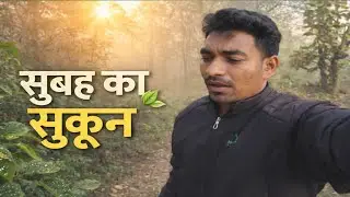 सुबह का सुकून | Early morning in Forest #forest #vlog 