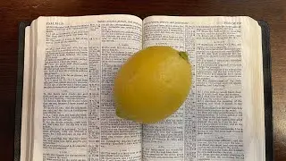 Life and Lemons