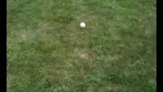 Million Dollar Ball