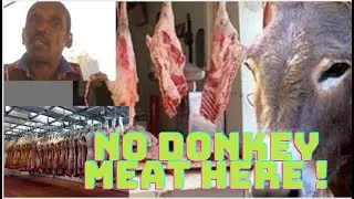 Verdict on Donkey Meat! Heated Debate by Lembus Community, Express their Views