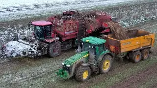Holmer Terra Dos T4 40, John Deere 8R 340 | vyorávanie cukrovej repy