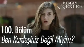 Ben kardeşiniz değil miyim? - Kırgın Çiçekler 100. Bölüm