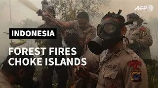 Indonesian forest fires choke SE Asia | AFP